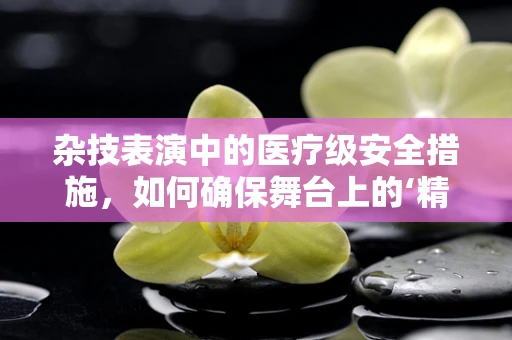 杂技表演中的医疗级安全措施，如何确保舞台上的‘精准’与‘安全’？