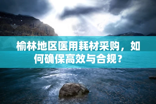 榆林地区医用耗材采购，如何确保高效与合规？