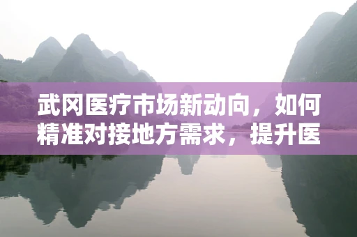 武冈医疗市场新动向，如何精准对接地方需求，提升医用耗材使用效率？
