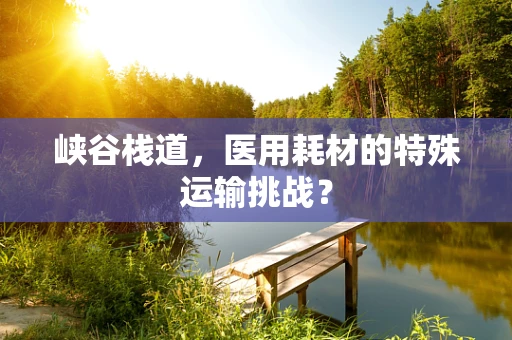 峡谷栈道，医用耗材的特殊运输挑战？