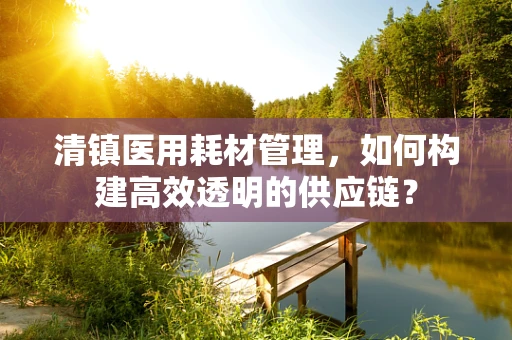 清镇医用耗材管理，如何构建高效透明的供应链？
