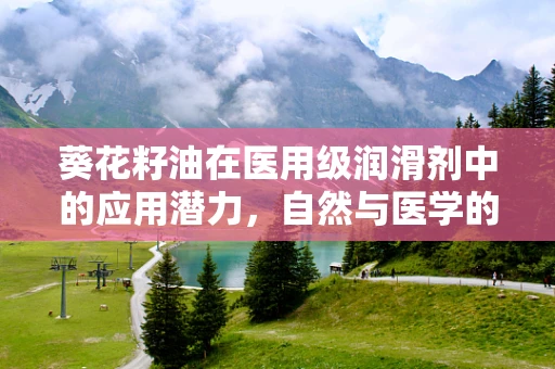 葵花籽油在医用级润滑剂中的应用潜力，自然与医学的巧妙融合