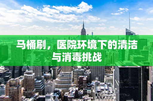 马桶刷，医院环境下的清洁与消毒挑战