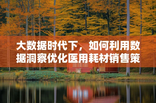 大数据时代下，如何利用数据洞察优化医用耗材销售策略？