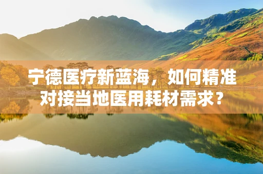 宁德医疗新蓝海，如何精准对接当地医用耗材需求？