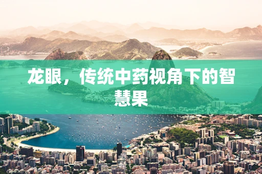 龙眼，传统中药视角下的智慧果
