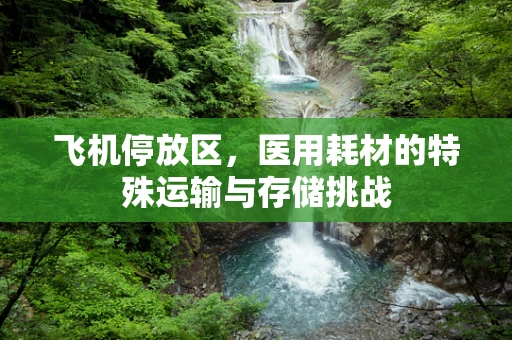飞机停放区，医用耗材的特殊运输与存储挑战