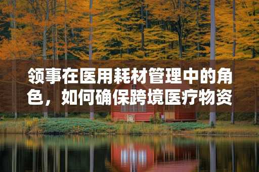 领事在医用耗材管理中的角色，如何确保跨境医疗物资的合规与高效？