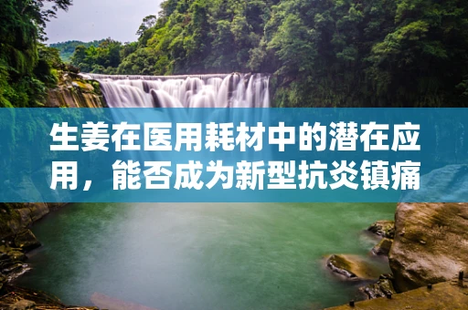 生姜在医用耗材中的潜在应用，能否成为新型抗炎镇痛材料？