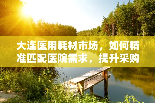 大连医用耗材市场，如何精准匹配医院需求，提升采购效率？