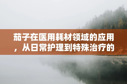 茄子在医用耗材领域的应用，从日常护理到特殊治疗的新探索