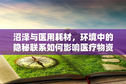 沼泽与医用耗材，环境中的隐秘联系如何影响医疗物资管理？