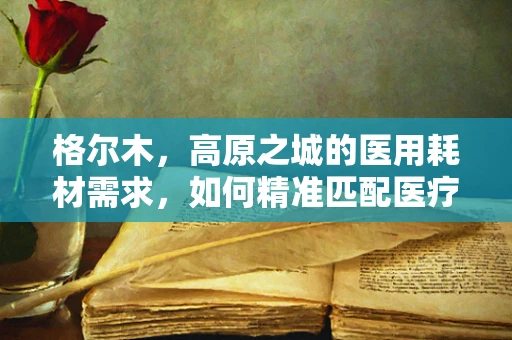 格尔木，高原之城的医用耗材需求，如何精准匹配医疗资源？