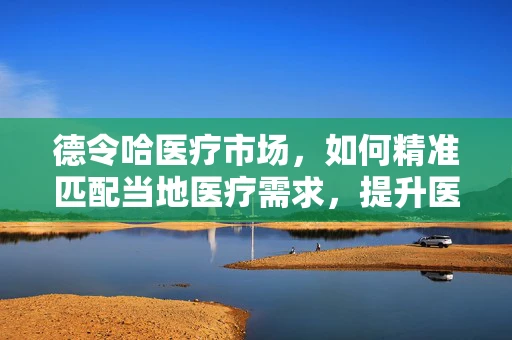 德令哈医疗市场，如何精准匹配当地医疗需求，提升医用耗材使用效率？