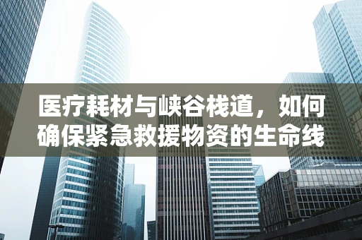 医疗耗材与峡谷栈道，如何确保紧急救援物资的生命线稳固？