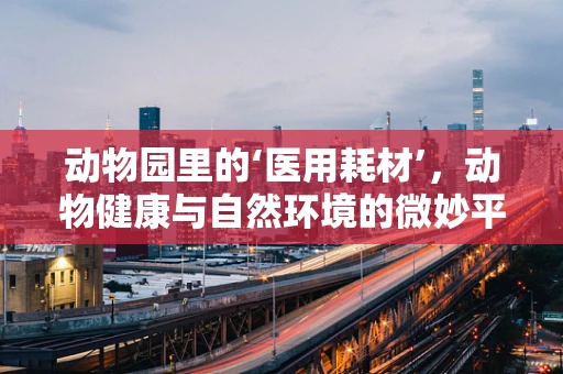 动物园里的‘医用耗材’，动物健康与自然环境的微妙平衡