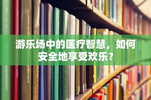 游乐场中的医疗智慧，如何安全地享受欢乐？