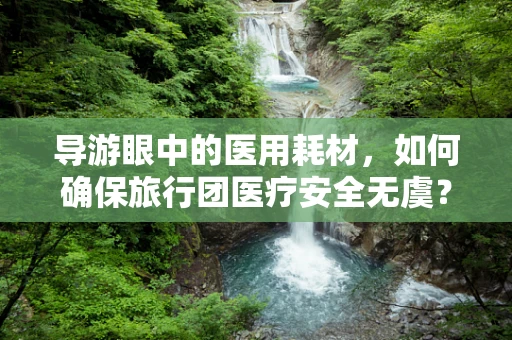 导游眼中的医用耗材，如何确保旅行团医疗安全无虞？