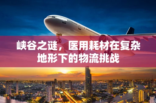 峡谷之谜，医用耗材在复杂地形下的物流挑战