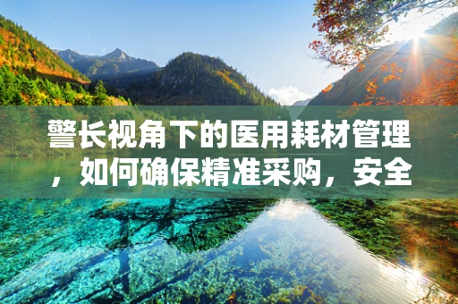 警长视角下的医用耗材管理，如何确保精准采购，安全使用？