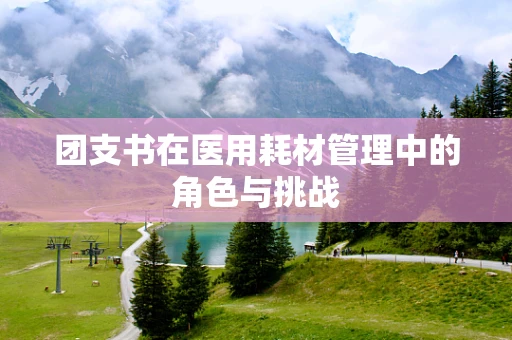团支书在医用耗材管理中的角色与挑战