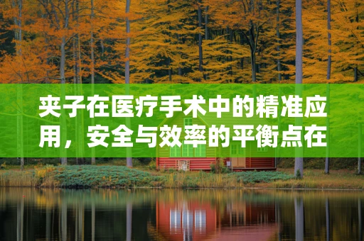 夹子在医疗手术中的精准应用，安全与效率的平衡点在哪里？