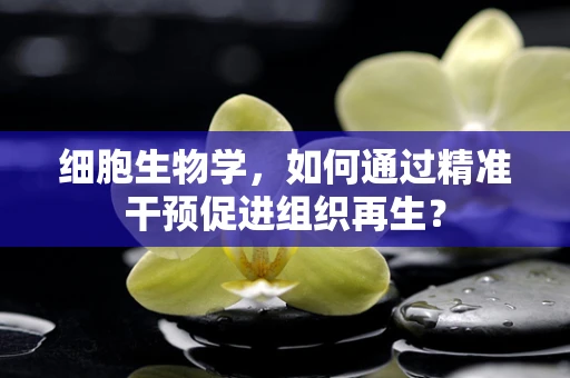细胞生物学，如何通过精准干预促进组织再生？