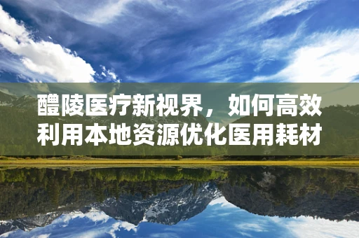 醴陵医疗新视界，如何高效利用本地资源优化医用耗材管理？