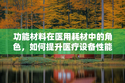 功能材料在医用耗材中的角色，如何提升医疗设备性能与患者安全？