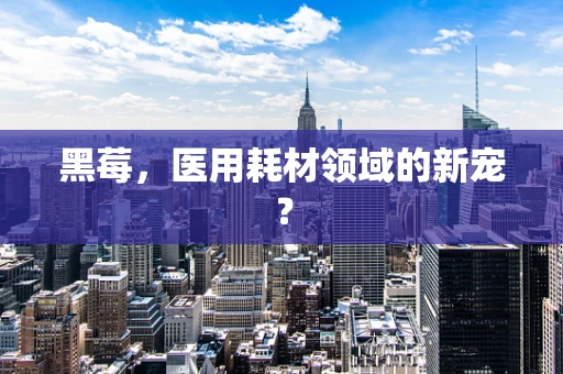 黑莓，医用耗材领域的新宠？