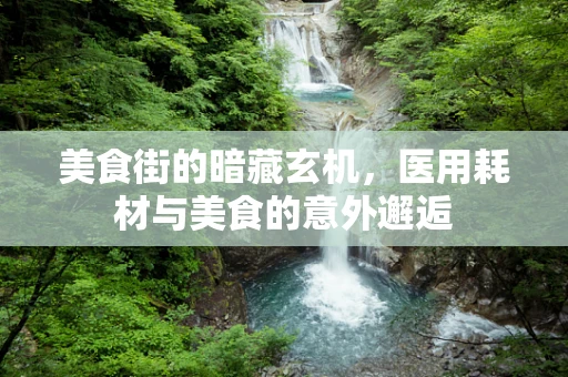 美食街的暗藏玄机，医用耗材与美食的意外邂逅