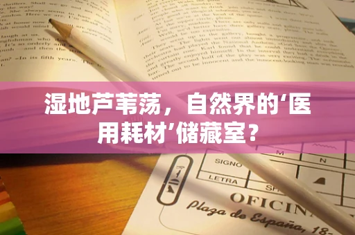 湿地芦苇荡，自然界的‘医用耗材’储藏室？