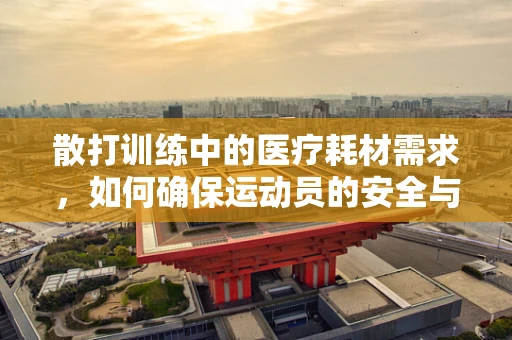 散打训练中的医疗耗材需求，如何确保运动员的安全与高效恢复？