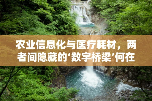 农业信息化与医疗耗材，两者间隐藏的‘数字桥梁’何在？