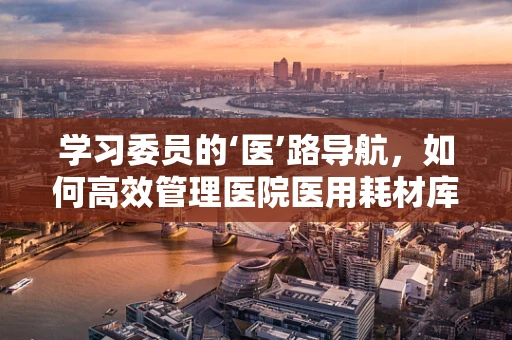 学习委员的‘医’路导航，如何高效管理医院医用耗材库存？