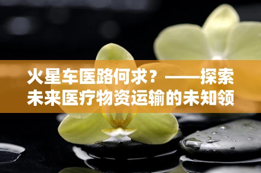火星车医路何求？——探索未来医疗物资运输的未知领域
