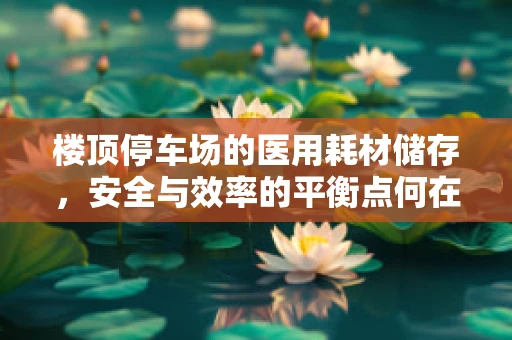 楼顶停车场的医用耗材储存，安全与效率的平衡点何在？
