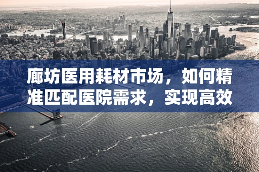 廊坊医用耗材市场，如何精准匹配医院需求，实现高效供应？