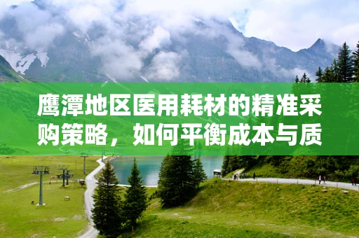 鹰潭地区医用耗材的精准采购策略，如何平衡成本与质量？