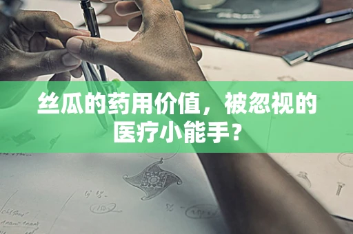 丝瓜的药用价值，被忽视的医疗小能手？