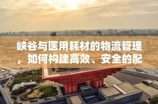 峡谷与医用耗材的物流管理，如何构建高效、安全的配送网络？