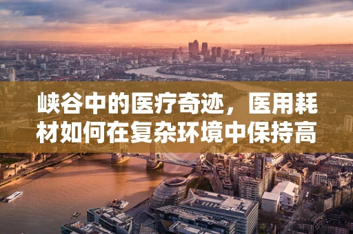 峡谷中的医疗奇迹，医用耗材如何在复杂环境中保持高效？