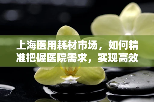 上海医用耗材市场，如何精准把握医院需求，实现高效采购？