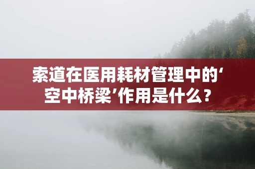 索道在医用耗材管理中的‘空中桥梁’作用是什么？