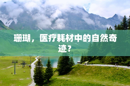 珊瑚，医疗耗材中的自然奇迹？