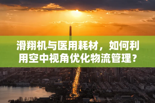 滑翔机与医用耗材，如何利用空中视角优化物流管理？