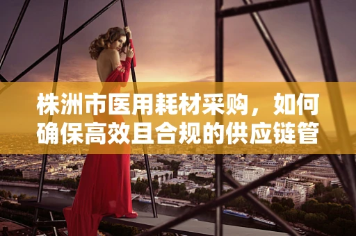 株洲市医用耗材采购，如何确保高效且合规的供应链管理？