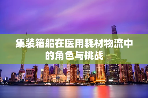 集装箱船在医用耗材物流中的角色与挑战
