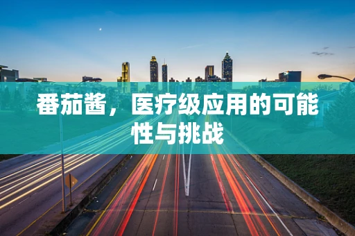 番茄酱，医疗级应用的可能性与挑战
