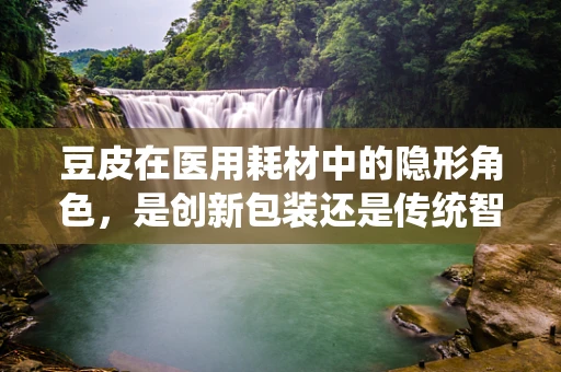 豆皮在医用耗材中的隐形角色，是创新包装还是传统智慧的延续？